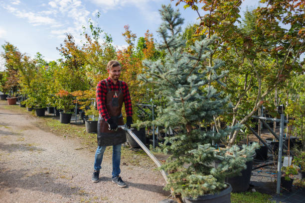 Best Aeration Services  in Westhampton Beach, NY